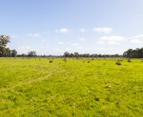 Rural / Farming commercial property for sale at 6080 Western Highway Dadswells Bridge VIC 3385