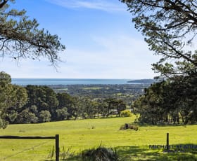 Rural / Farming commercial property for sale at Aranda 675 White Hill Road Red Hill VIC 3937
