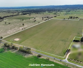 Rural / Farming commercial property for sale at 10 Afflecks Road Toongabbie VIC 3856