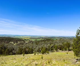 Rural / Farming commercial property sold at 295 Deaths Lane Canowindra NSW 2804