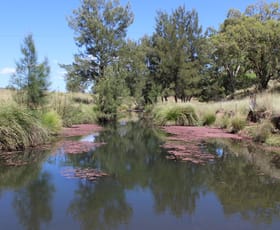 Rural / Farming commercial property sold at "High Valley" 243 Back Creek Road Narrabri NSW 2390