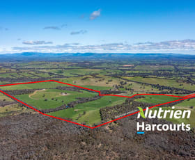 Rural / Farming commercial property for sale at 97 Granite Road Lurg VIC 3673