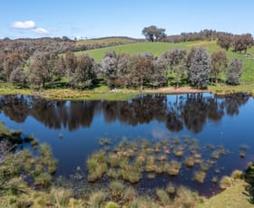 Rural / Farming commercial property for sale at 97 Granite Road Lurg VIC 3673