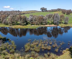 Rural / Farming commercial property for sale at 97 Granite Road Lurg VIC 3673