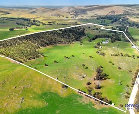 Rural / Farming commercial property sold at 958 Jutland Road Eden Valley SA 5235