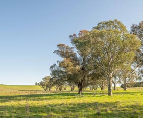 Rural / Farming commercial property sold at Lot/5 Cattle Street Binalong NSW 2584