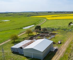 Rural / Farming commercial property for sale at Selkirk Rises Road Mingay VIC 3324