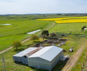 Rural / Farming commercial property sold at Selkirk Rises Road Mingay VIC 3324