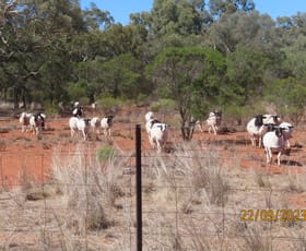 Rural / Farming commercial property sold at * The Retreat Cobar NSW 2835