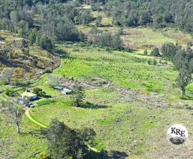 Rural / Farming commercial property for sale at 842 Green Pigeon Road Kyogle NSW 2474