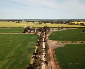 Rural / Farming commercial property sold at 2380 Berrigan Road Jerilderie NSW 2716