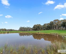 Rural / Farming commercial property sold at Lot 2, PS 814359P Duells Lane Glenaroua VIC 3764