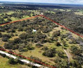 Rural / Farming commercial property for sale at 74 Mail Bridge Road Kingston Se SA 5275