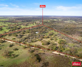 Rural / Farming commercial property for sale at 74 Mail Bridge Road Kingston Se SA 5275