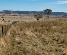 Rural / Farming commercial property sold at "Matong" Matong Road Numbla Vale NSW 2628