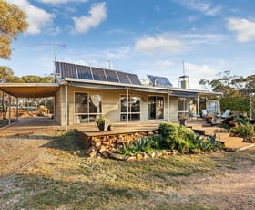 Rural / Farming commercial property for sale at 517 Nine Mile South-Wedderburn Road Wedderburn VIC 3518