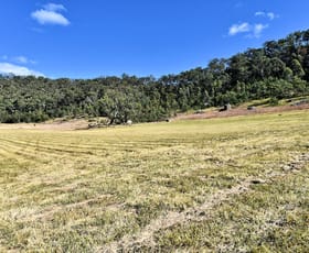 Rural / Farming commercial property for sale at 1880 Paynes Crossing Road Paynes Crossing NSW 2325