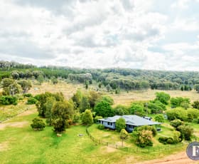 Rural / Farming commercial property sold at 'lothlorien', 250 Johnsons Road Crowther NSW 2803