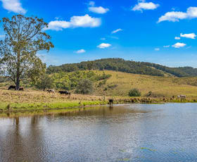 Rural / Farming commercial property sold at 449 Glen William Road Glen William NSW 2321