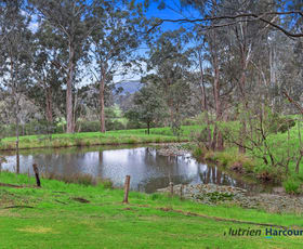 Rural / Farming commercial property for sale at 153 Christies Road Thornton VIC 3712