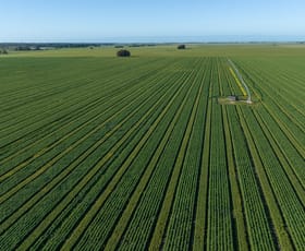 Rural / Farming commercial property sold at Naracoorte SA 5271