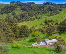 Rural / Farming commercial property for sale at 90 Biddles Road Apollo Bay VIC 3233