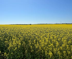 Rural / Farming commercial property sold at Staehrs Road Nhill VIC 3418