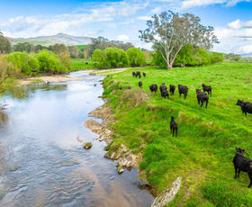 Rural / Farming commercial property sold at 'Part Moorabinda'/727 Tallangatta Creek Rd Tallangatta Valley VIC 3701