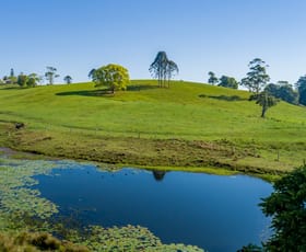 Rural / Farming commercial property sold at 342 North Maleny Road North Maleny QLD 4552