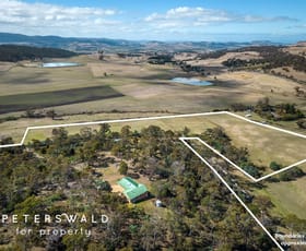 Rural / Farming commercial property for sale at 61 Williams Road Tea Tree TAS 7017