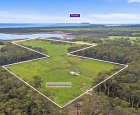 Rural / Farming commercial property for sale at Old Stanley Road West Smithton TAS 7330