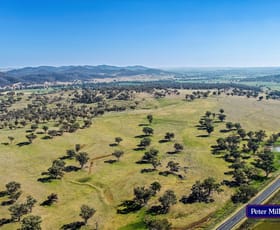 Rural / Farming commercial property for sale at 'Omeo' 9091 Mitchell Highway Wellington NSW 2820