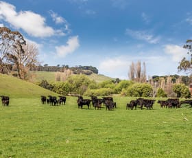 Rural / Farming commercial property for sale at 75 Greenhills Road Greendale VIC 3341