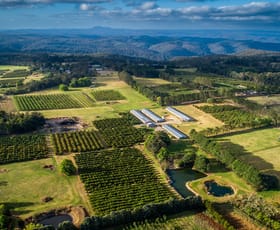 Rural / Farming commercial property for sale at 'Wyuna Farms' 982-988 George Downes Drive Kulnura NSW 2250