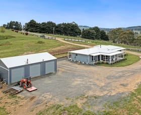 Rural / Farming commercial property for sale at 53 McKeachie Street Bombala NSW 2632