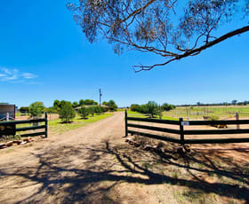 Rural / Farming commercial property for sale at 36 Lesterfield Lane Coolamon NSW 2701