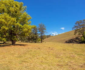 Rural / Farming commercial property sold at Lot A Big Run Road Wherrol Flat NSW 2429