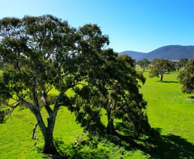 Rural / Farming commercial property for sale at 102 Hillman Road Middle Creek VIC 3375