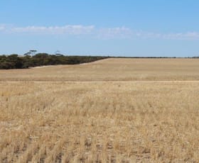 Rural / Farming commercial property sold at 1568 Pickernell Road Varley WA 6355