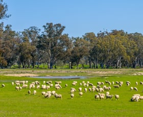 Rural / Farming commercial property for sale at 1213 Geodetic Road Euroa VIC 3666