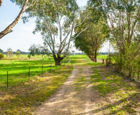 Rural / Farming commercial property for sale at 135 Jacka Lane Holbrook NSW 2644