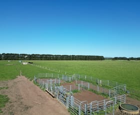 Rural / Farming commercial property sold at Dales Lane Mortlake VIC 3272