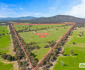 Rural / Farming commercial property sold at Stawell-Avoca Road Navarre VIC 3384