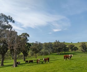 Rural / Farming commercial property sold at 150 Middle Creek Road Kanumbra VIC 3719