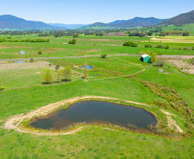 Rural / Farming commercial property sold at Speers Lane Dederang VIC 3691