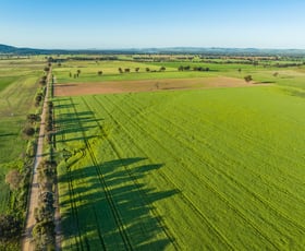 Rural / Farming commercial property sold at Tallarook Road Cowra NSW 2794