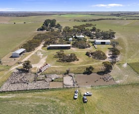 Rural / Farming commercial property for sale at 4048 Carcuma Road Coonalpyn SA 5265