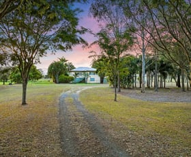 Rural / Farming commercial property sold at 179 Bells Pocket Rd Lawnton QLD 4501