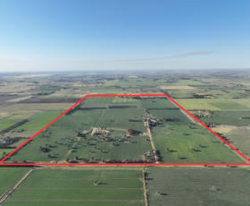 Rural / Farming commercial property for sale at 3103 Moonee Swamp Road Mayrung NSW 2710