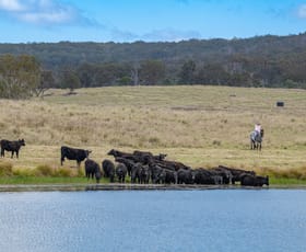 Rural / Farming commercial property sold at 2792 Old Stanthorpe Road Dalveen QLD 4374